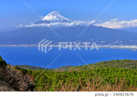 伊豆半島の伊豆山稜線歩道 だるま山高原レストハウスから眺める初冬の富士山 伊豆半島の伊豆山稜線歩道 だるま山高原レストハウスから眺める初冬の富士山 140923676