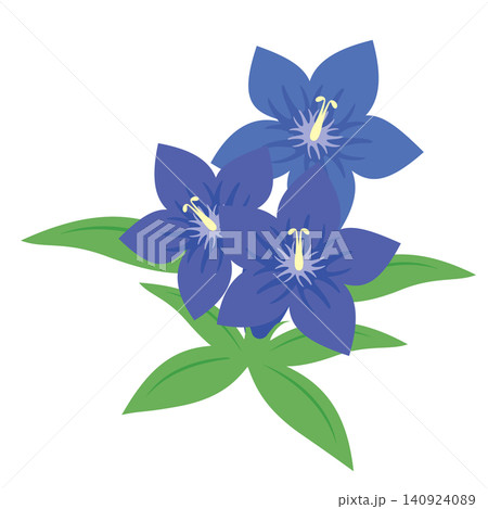 リンドウの花 140924089