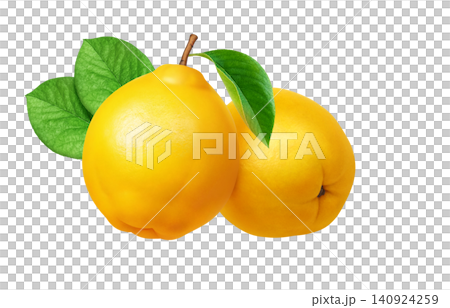 卡琳插畫,寫實卡琳 卡琳插畫,寫實卡琳 140924259