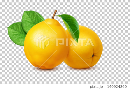 卡琳插畫,寫實卡琳 卡琳插畫,寫實卡琳 140924260