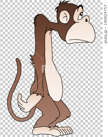 Hand-drawn animal illustration ☆ Monkey Hand-drawn animal illustration ☆ Monkey 140924757