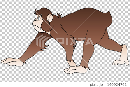 Hand-drawn animal illustration ☆ Monkey 140924761