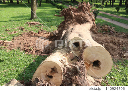 Wooden logs stock on saw mill Wooden logs stock on saw mill 140924806