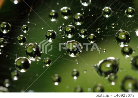 梅雨の季節 古くなって放棄された蜘蛛の巣についた雨水の水滴 梅雨の季節 古くなって放棄された蜘蛛の巣についた雨水の水滴 140925078