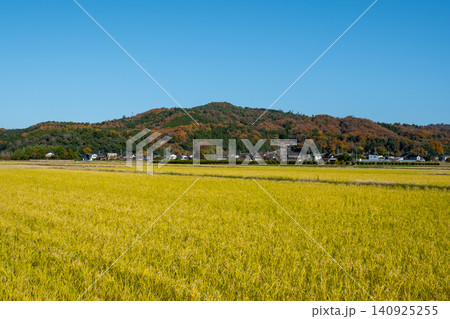 紅葉の稲葉山 鳥取県鳥取市国府町 紅葉の稲葉山 鳥取県鳥取市国府町 140925255