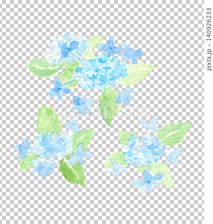 水彩繡球花 水彩繡球花 140926233