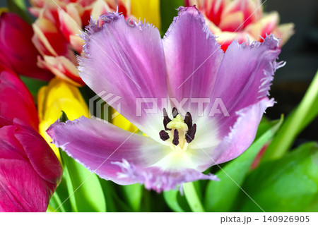 Vibrant Spring Floral Arrangement Featuring Purple Tulip Vibrant Spring Floral Arrangement Featuring Purple Tulip 140926905
