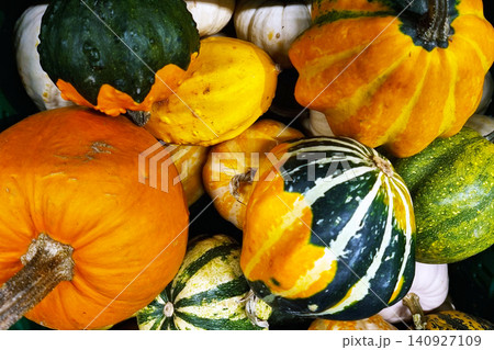 Different types of squash are stacked together in a basket at a market in autumn seasons across the countryside Different types of squash are stacked together in a basket at a market in autumn seasons across the countryside 140927109