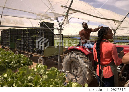 African American coworkers driving red tractor hauling crates past lettuce beds in greenhouse 140927215