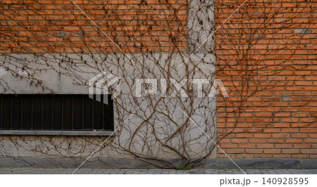 Climbing Vine Growing on Brick and Concrete Wall Surface Climbing Vine Growing on Brick and Concrete Wall Surface 140928595