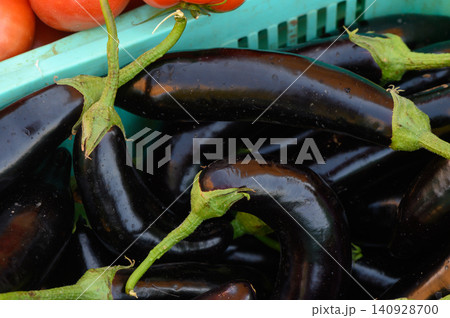 Freshly harvested eggplants and ripe tomatoes in a vibrant farmer's market during a sunny afternoon in early autumn Freshly harvested eggplants and ripe tomatoes in a vibrant farmer's market during a sunny afternoon in early autumn 140928700