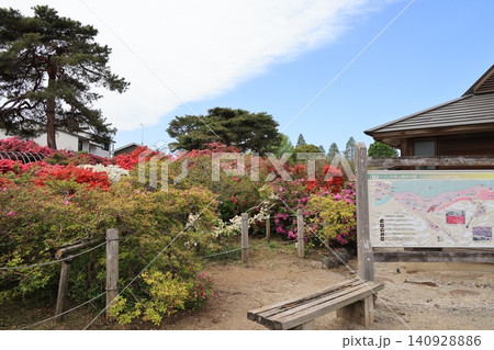 群馬県舘林市のつつじが岡公園の風景 群馬県舘林市のつつじが岡公園の風景 140928886