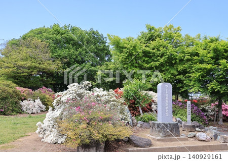 群馬県舘林市のつつじが岡公園の風景 群馬県舘林市のつつじが岡公園の風景 140929161