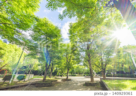 春日部市/中央町第4公園 春日部市/中央町第4公園 140929361