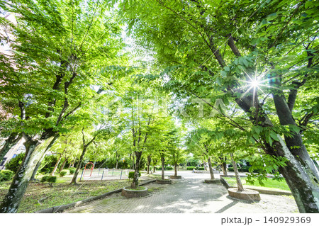 春日部市/中央町第4公園 春日部市/中央町第4公園 140929369