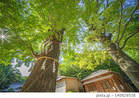 春日部八幡神社 春日部八幡神社 140929538