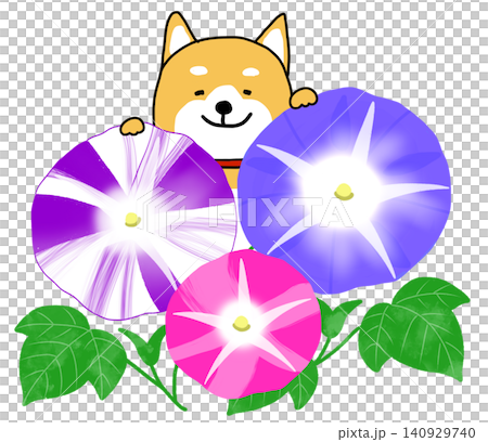 一隻咧嘴大笑的柴犬站在五彩繽紛的牽牛花田後。 一隻咧嘴大笑的柴犬站在五彩繽紛的牽牛花田後。 140929740