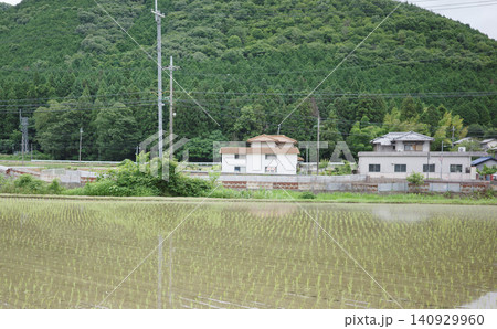 田植え直後の田んぼと田園風景(田舎の風景) 田植え直後の田んぼと田園風景(田舎の風景) 140929960