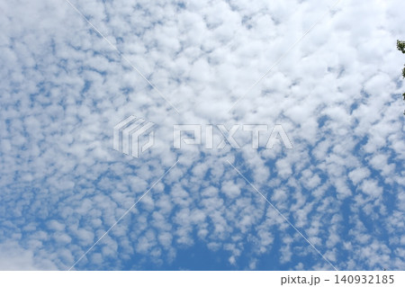 春の青空に浮かぶ羊雲 140932185