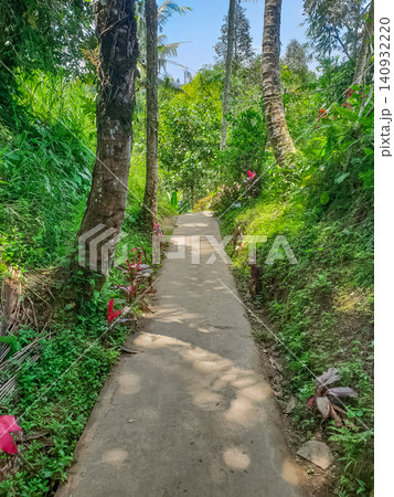 Narrow concrete path leading through tropical garden with palm trees and red flowering plants toward open sky Narrow concrete path leading through tropical garden with palm trees and red flowering plants toward open sky 140932220