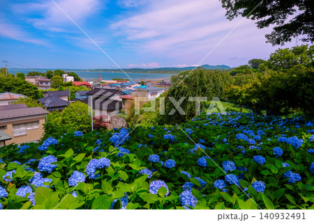 紫陽花の丘から望む海 140932491