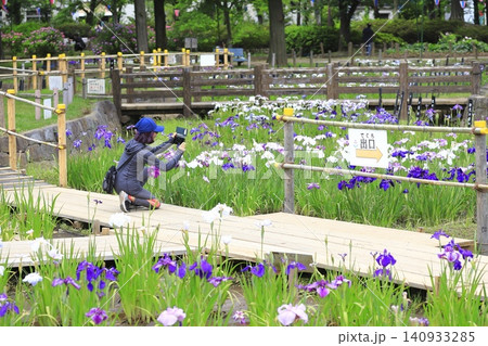 しょうぶ沼公園 スマホで撮影する女性 しょうぶ沼公園 スマホで撮影する女性 140933285