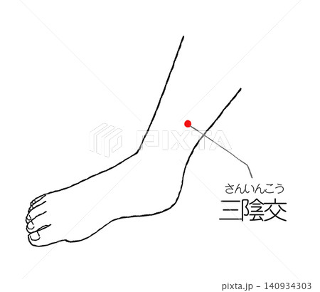 三陰交のツボの図解　黒色の線画イラスト 140934303