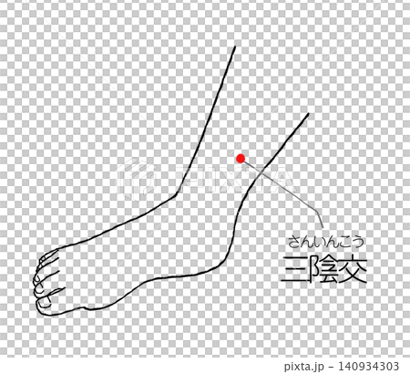 三陰交のツボの図解　黒色の線画イラスト 140934303