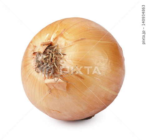 Yellow onions are a common and versatile type of onion used in cooking worldwide, isolated on a white background 140934863