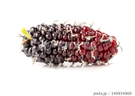 A mulberry, a type of edible berry that grows on trees of the Morus genus, isolated on a white background A mulberry, a type of edible berry that grows on trees of the Morus genus, isolated on a white background 140934900