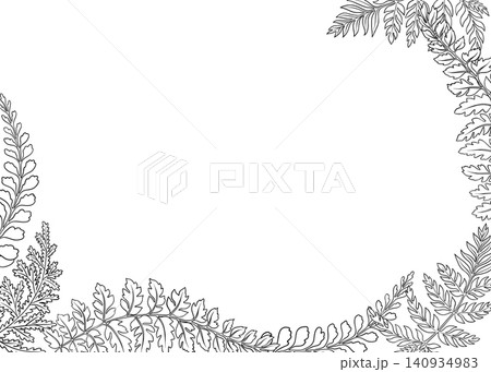 Horizontal card frame template with fern leaf botanical illustration in line art style. Hand drawn black and white floral border. Perfect for decorative woodland natural template and modern designs. 140934983