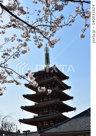 日本の東京 春の浅草 浅草寺の五重塔と満開の桜と美しい青空 日本の東京 春の浅草 浅草寺の五重塔と満開の桜と美しい青空 140935824