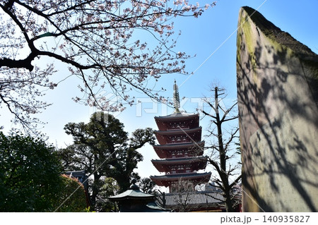 日本の東京 春の浅草 浅草寺の五重塔と満開の桜と美しい青空 日本の東京 春の浅草 浅草寺の五重塔と満開の桜と美しい青空 140935827