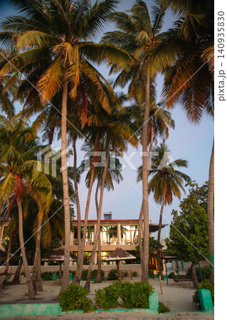 View of a modern villa in a tropical environment View of a modern villa in a tropical environment 140935830