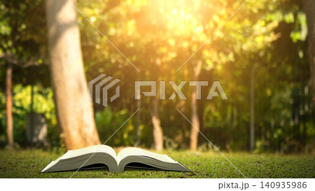 An open book lies on the green grass in a serene park with warm, golden sunlight filtering through the trees, symbolizing learning, education, reading, and peace 140935986