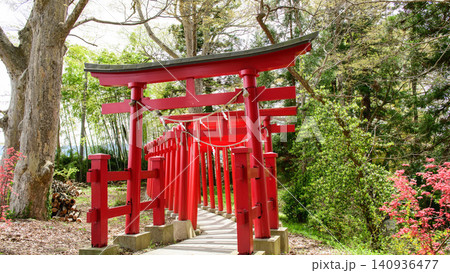 伊佐須美神社 鳥居とケヤキ 福島県 伊佐須美神社 鳥居とケヤキ 福島県 140936477