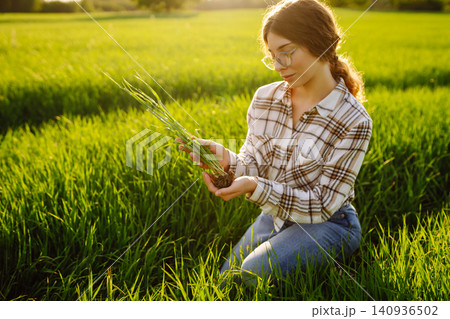 Agronomist in wheat field with wheat sprouts in his hands. Business, agriculture concept. Agronomist in wheat field with wheat sprouts in his hands. Business, agriculture concept. 140936502