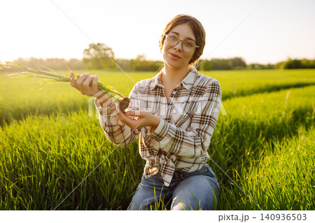 Agronomist in wheat field with wheat sprouts in his hands. Business, agriculture concept. Agronomist in wheat field with wheat sprouts in his hands. Business, agriculture concept. 140936503