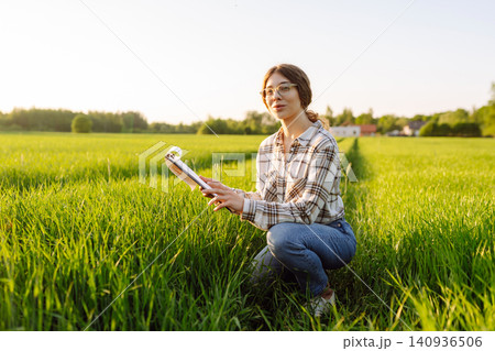 Farmer touches wheat sprouts, checking growth. Concept for farm development, horticulture. 140936506