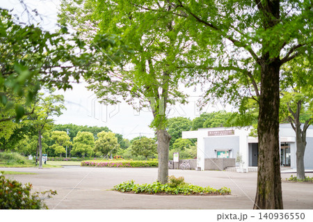 【舎人公園】新緑の木々とサービスセンターの建物 【舎人公園】新緑の木々とサービスセンターの建物 140936550