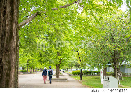 【舎人公園】新緑の並木道を散歩する人々 【舎人公園】新緑の並木道を散歩する人々 140936552