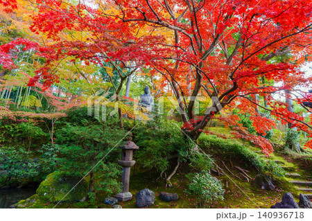 紅葉のある風景　栄摂院 140936718