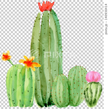 Watercolor Cactus Divider Cacti Group Composition Watercolor Cactus Divider Cacti Group Composition 140938414