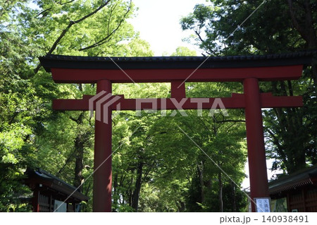 大宮氷川神社　境内 140938491
