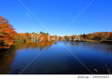 紅葉する八方ヶ原の八方湖/栃木県矢板市 紅葉する八方ヶ原の八方湖/栃木県矢板市 140938565