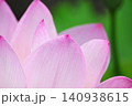 蓮の花のある風景 140938615