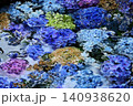 水面に浮かぶ紫陽花 140938620