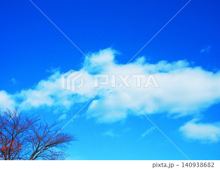 青空と白雲と樹木の風景 140938682