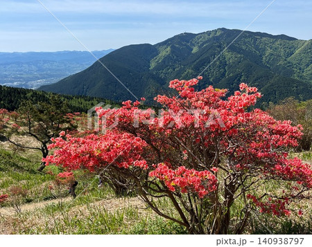 葛城山のヤマツツジと金剛山 春の山岳風景 葛城山のヤマツツジと金剛山 春の山岳風景 140938797