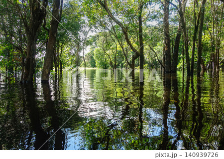 flooded landscape beneath treetops in Amazon rainforest in Brazil flooded landscape beneath treetops in Amazon rainforest in Brazil 140939726